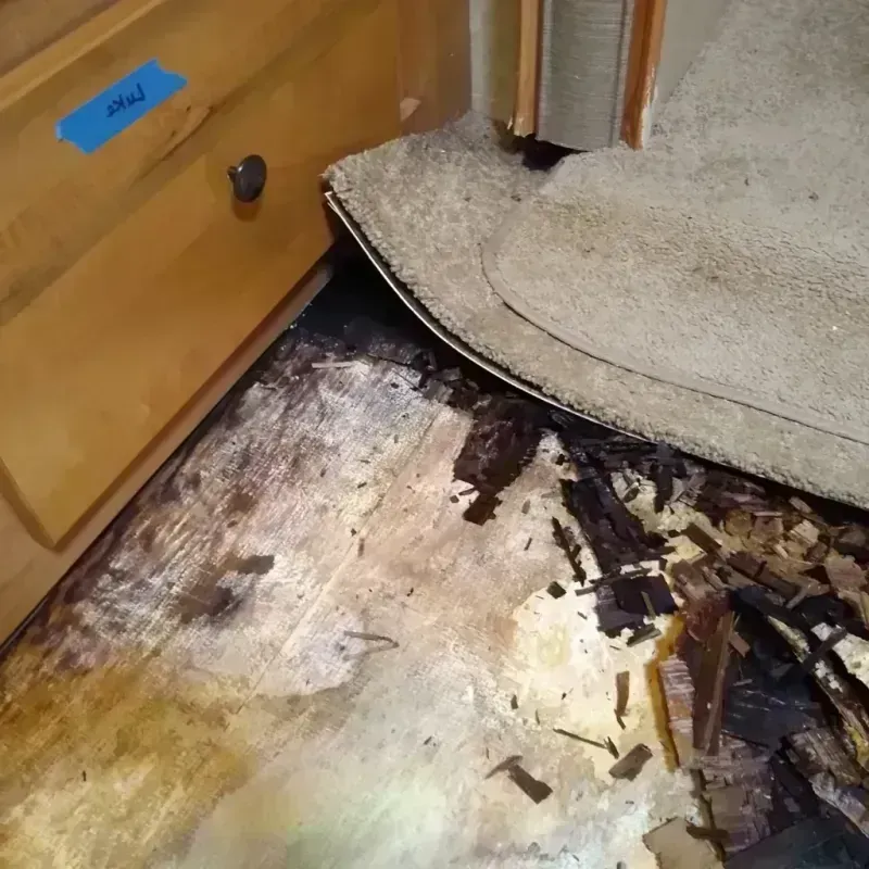 Wood Floor Water Damage in Niles, OH